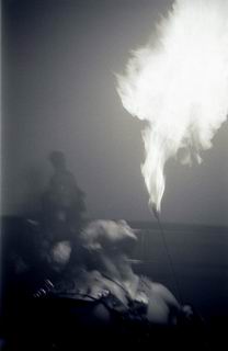 .:mutonia:.