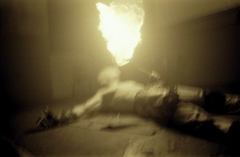 .:mutonia:.